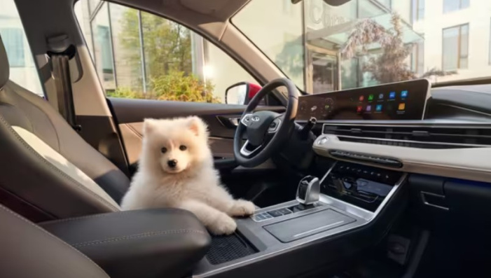 Весна и лето — время поездок с близкими и теплых моментов в дороге.