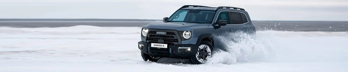 Haval City DARGO X